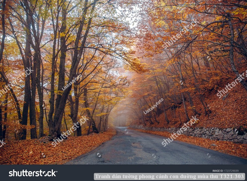 Tranh dán tường phong cảnh con đường mùa thu T321-303